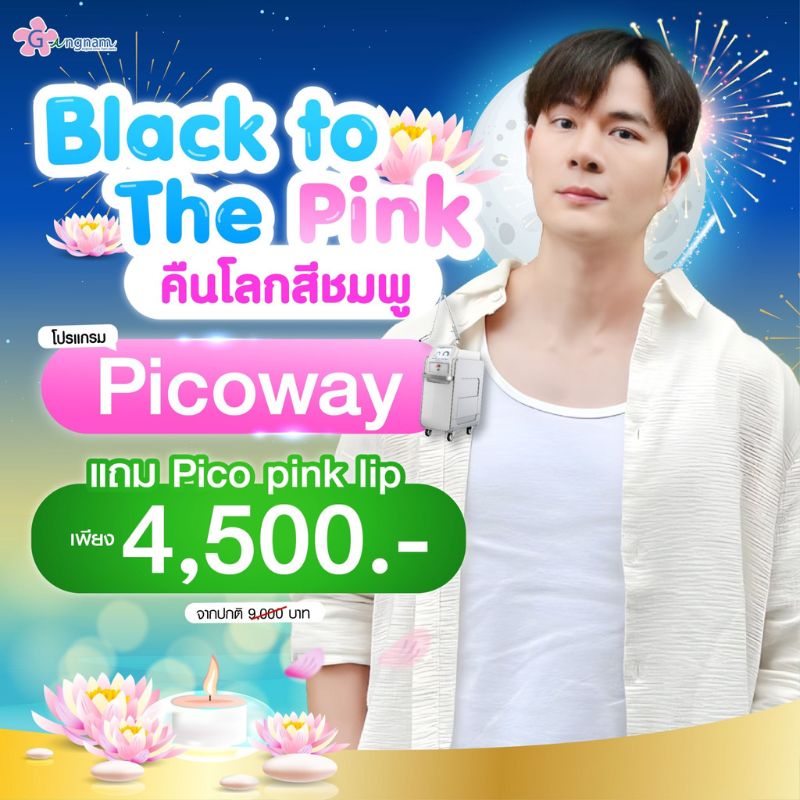 โปรโมชั่น picoway